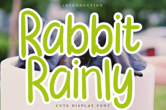 Rabbit Rainly: A Friendly Display Font for Handmade Creators